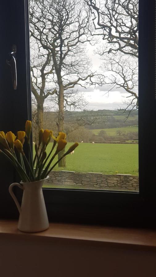 Appleton House Bed and Breakfast Thornbury  Exteriör bild
